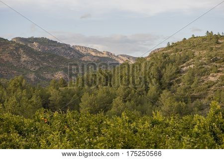 Landscape around Argelita in Castellon in Spain