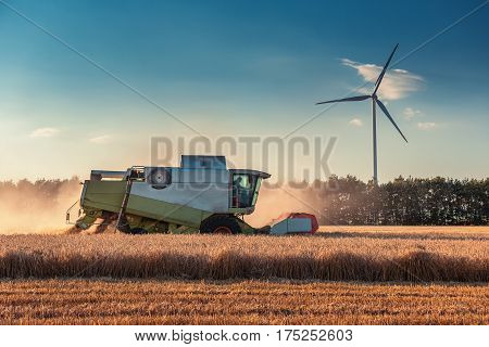 Combine Harvester Agriculture Machine Harvesting Golden Ripe Wheat Field
