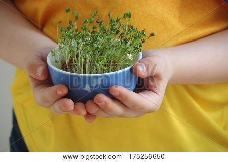 cuckooflower Easter in a small porcelain bowl in baby hands