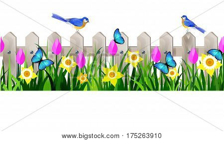 Green Grass and white wooden fance seamless isolated clip art vector on white with rose tulips and yellow daffodils and bluebirds
