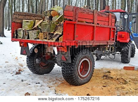 Red trailer with firewood attached to the tractor in the winter inwood or the park near place where tree has been cut. Side view from behind.