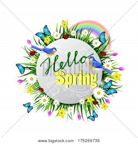 Hello Spring paper circle on a lawn with flowers blue butterflyes and ladybug bluebirds vector