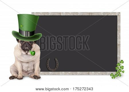 sweet smart pug puppy dog with st. patrick's day hat and pipe sitting next to blank blackboard sign with shamrock and horseshoe