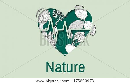 Balance Health Living Lifestyle Vatality Wellness