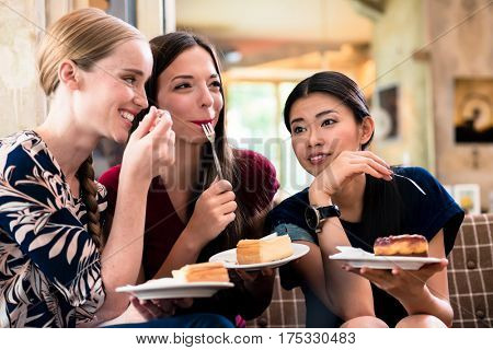 Three young women sharing opinions and ideas while eating cake indoors