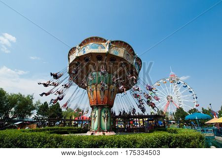 Amusement Park