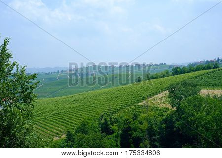 Generic view of Langhe hills on a summer day