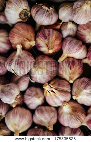 Close-up Garlic Bulbs And Garlic Cloves On Wodeen Background. Ga