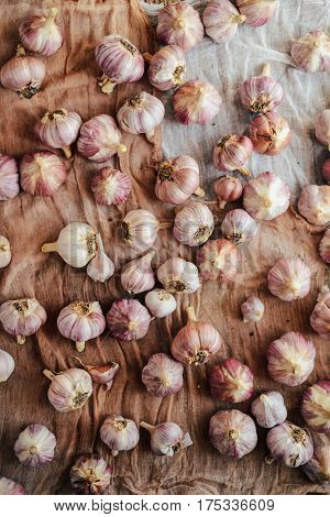 Close-up Garlic Bulbs And Garlic Cloves On Wodeen Background. Ga