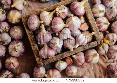 Close-up Garlic Bulbs And Garlic Cloves On Wodeen Background. Ga