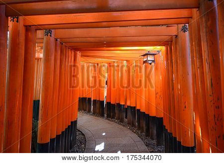Torii Gates At Fushimi Inari Shrine In Kyoto, Japan