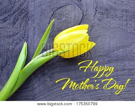 Happy Mother's Day concept.Yellow tulip on old wooden background with copy space.Tulip spring flower.Selective focus.