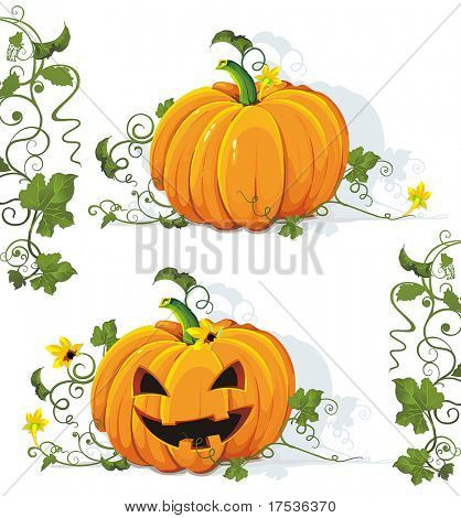 Vector tasty and healthy vegetable pumpkin. Classical natural illustration.