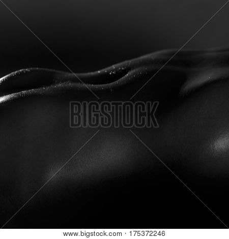 Low key photo of sexy nude female stomach with oil shiny skin. Selective focus