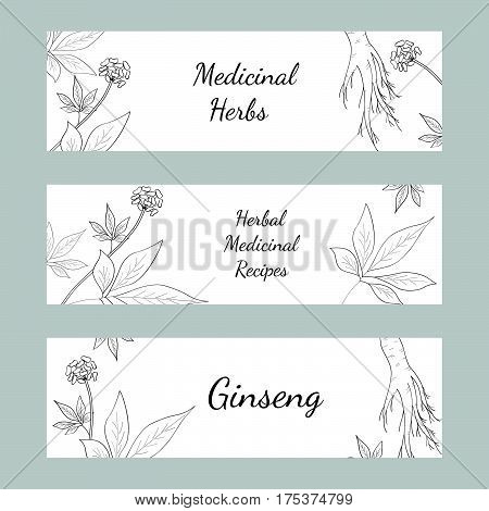 Set of three horizontal banners labels with herbs and ginseng root on white background sketch style. Hand draw vintage illustration of medicinal plants. For traditional medicine gardening.