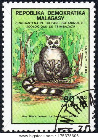 UKRAINE - CIRCA 2017: A stamp printed in Malagasy Madagascar shows Ring-tailed lemur with calves Lemur Catta serie Fiftieth anniversary of the botanical and zoological park of Tsimbazaza circa 1988