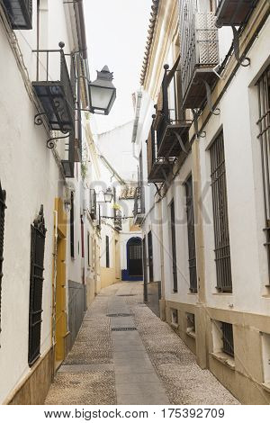 Cordoba (Andalucia Spain): old typical street in the Juderia