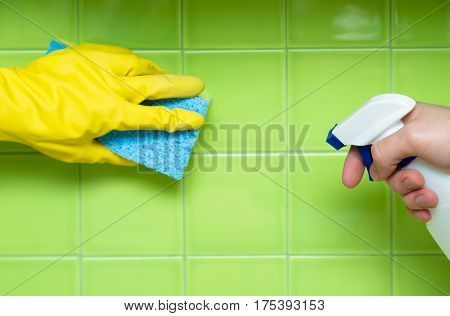 Lef Hand in Rubber Glove Holding an Yellow Sponge and Cleaning Tiles, Right Hand Holding a Spray Bottle