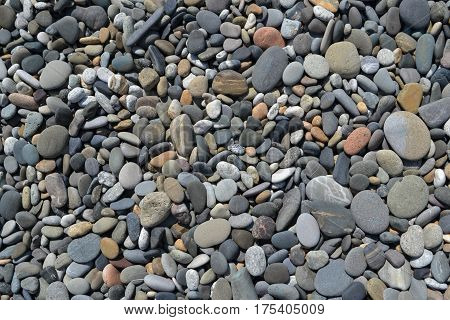 Many colorful stones on a pebble beach