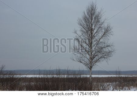 Landscape of Lake Shuvakish, Yekaterinburg, Middle Ural