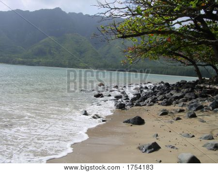 Hawaiin Beach Of Oahu