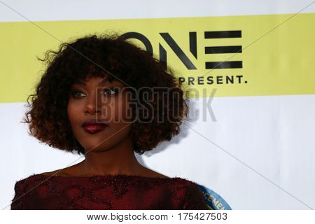 LOS ANGELES - FEB 11:  DeWanda Wise at the 48th NAACP Image Awards Arrivals at Pasadena Conference Center on February 11, 2017 in Pasadena, CA