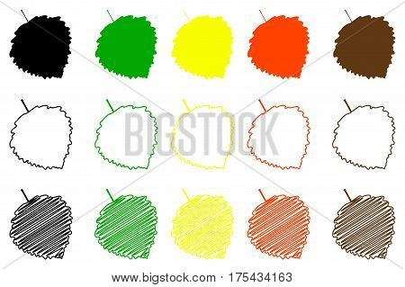 poplar aspen leaf - color set , poplar aspen leaf