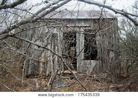 An old wooden shack falling apart in the woods after being abandoned.