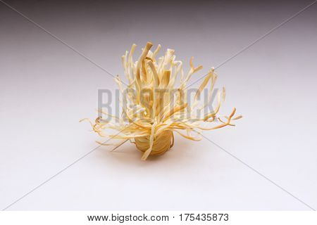 Chechil Cheese On A White Background.