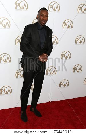 LOS ANGELES - JAN 28:  Mahershala Ali at the 2017 Producers Guild Awards  at Beverly Hilton Hotel on January 28, 2017 in Beverly Hills, CA