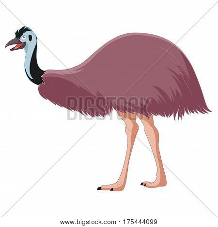 Vector image of the Cartoon smiling Emu