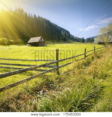 Sunny Carpathian valley with lonely koliba on a meadow
