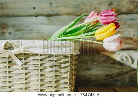 tulips in wooden backet. old baskground .