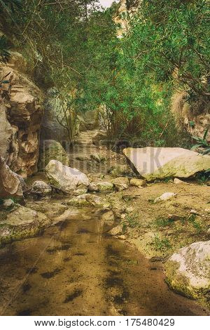 Amazing natural landscape in the Avakas canyon in Cyprus. National wild park with cliffs, mountains, rocks and trees. Deep natural valley to discovery for tourists and travellers. Vintage background