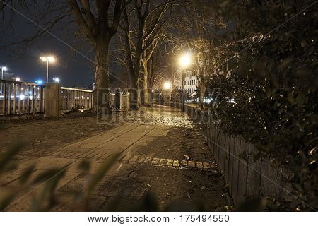 Lantern in the park during the autumn season at night
