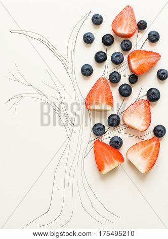Two sides of one tree; top view of a hand drawn tree with berries on one side and nothing on another white background