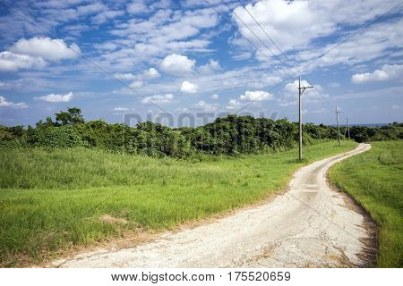 Winding small road through green grassy plains under sky