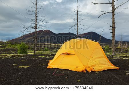 Tourist tent in Dead wood - a consequence of a catastrophic release of ash during the eruption of the volcano in 1975 Tolbachik