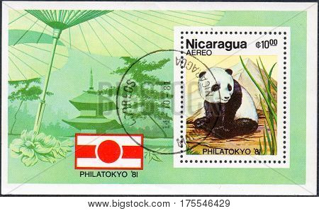 UKRAINE - CIRCA 2017: A stamp printed in Nicaragua is dedicated to PHILATOKYO-81 shows panda circa 1981
