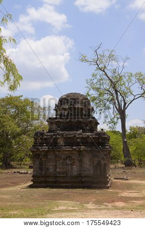 ruins of Ancient city Polonnaruwa in Sri lanka vertical view