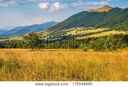 Agricultural Field In Mountains