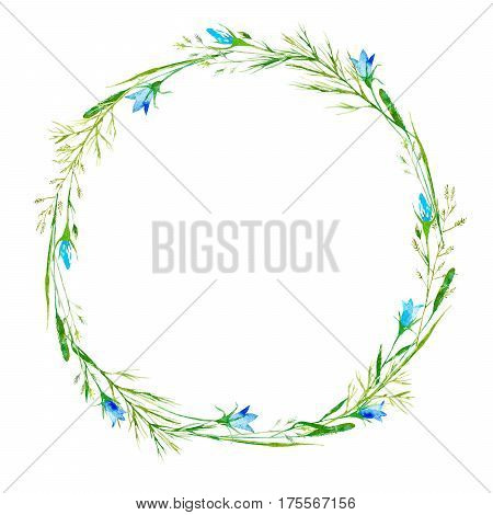 Wreath of a meadow herbs and bluebell flowers. Garland of a spike and timothy grass. Watercolor hand drawn illustration.