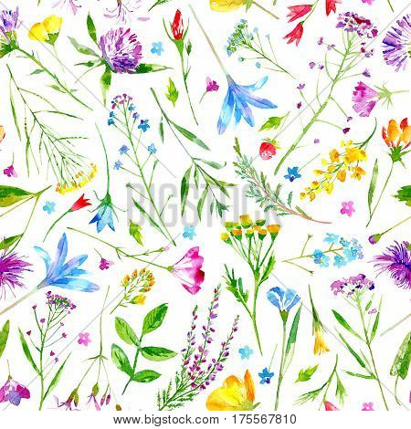 Floral seamless pattern of a wild flowers and herbs on a white background.Buttercup,cornflower,clover,bluebell,forget-me-not,vetch,grass,lobelia,snowdrop flowers. Watercolor hand drawn illustration.