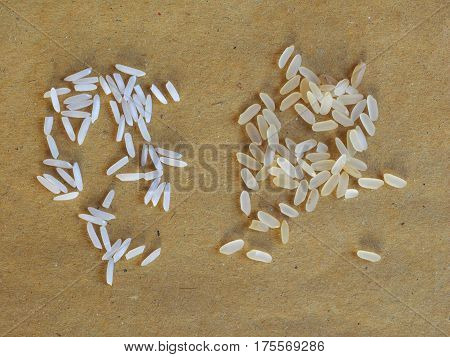 Traditional Italian Pasta