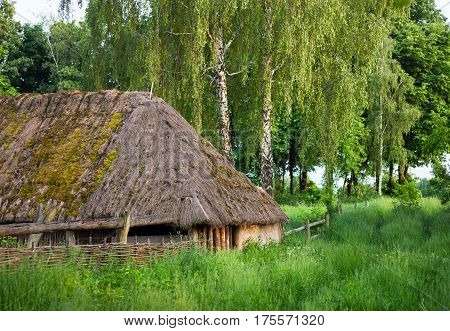 Old wooden shed with moss-grown straw-thatched roof from the Museum of Folk Architecture and Life of Ukraine in Pyrohiv near Kyiv.