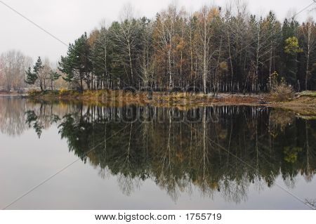 Tardo autunno