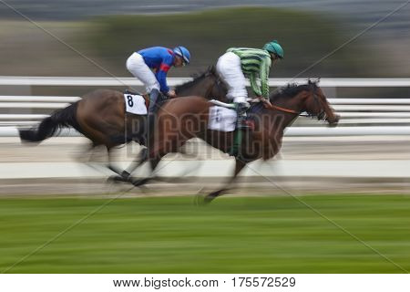 Horse race final rush. Competition sport. Hippodrome. Winner. Speed background