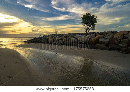 Silhouette of lone tree and kid at beach during sunset with copy space area. Composition of nature.
