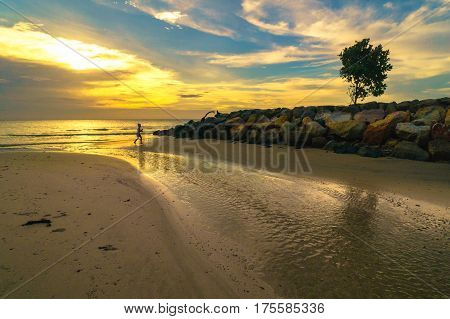Silhouette of lone tree and kid at beach during sunset with copy space area.Composition of nature.