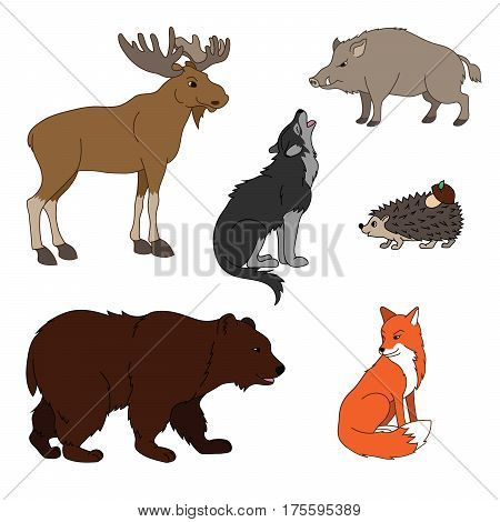 Set Of Various Cute Animals, Forest Animals. Wolf, Fox, Bear, Wild Boar, Moose, Hedgehog. Vector Ill